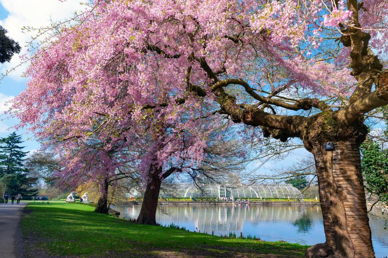 Richmond Riverside *